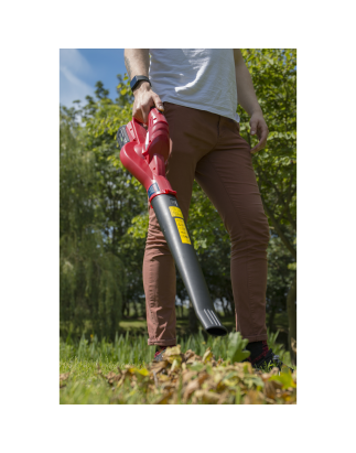 Leaf Blower Cordless 20V SV20 Series with 2Ah Battery & Charger