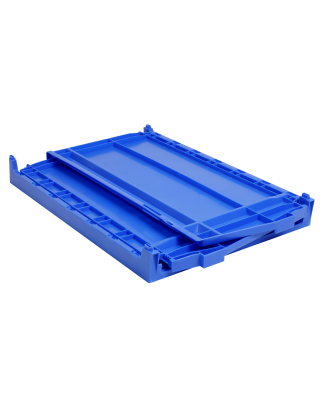 Bac de rangement pliable 55L