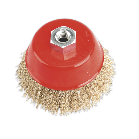 Brosse Boisseau Fil Serti Acier Laitonné Ø100mm M14 x 2mm