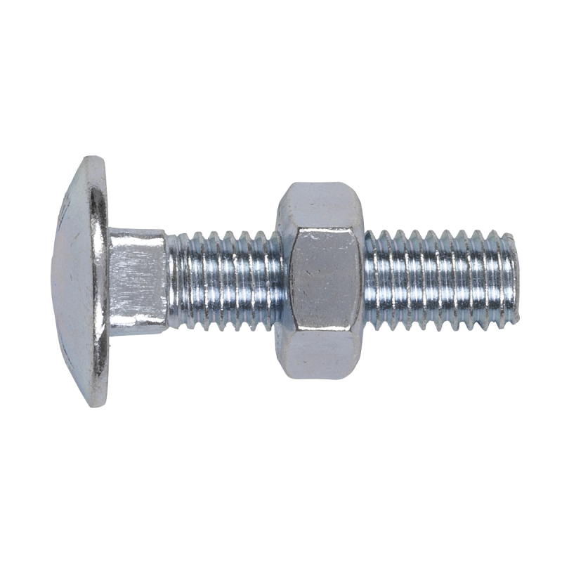 Coach Bolt & Nut M10 x 40mm Zinc Pack of 50