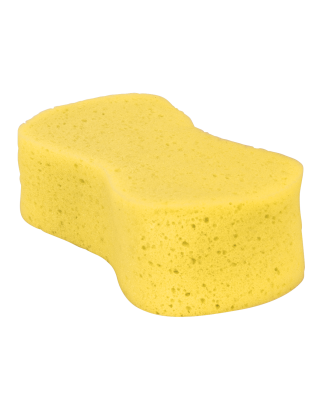 Large Sponge