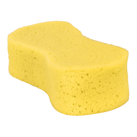 Large Sponge