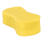 Large Sponge