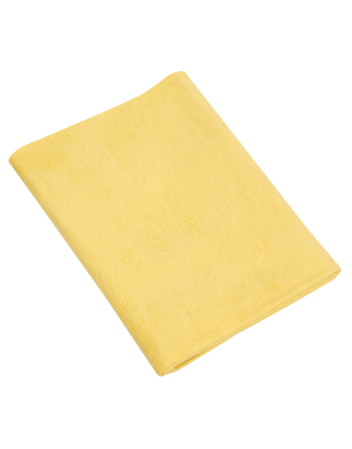 Chamois PVA 2.5ft²