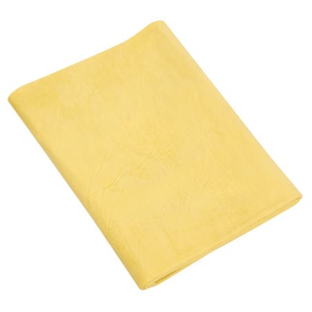 Chamois PVA 2.5ft²