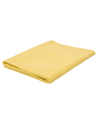 Chamois PVA 2.5ft²