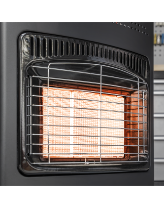 Cabinet Gas Heater 4.2kW