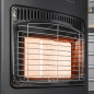 Cabinet Gas Heater 4.2kW