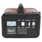 Chargeur de batterie 12/24V 19A 230V