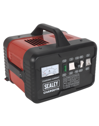 Chargeur de batterie 12/24V 19A 230V