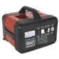 Chargeur de batterie 12/24V 19A 230V