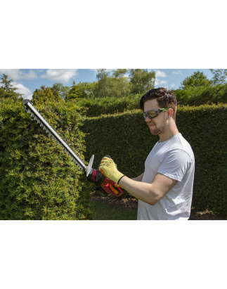 Hedge Trimmer Cordless 20V SV20 Series with 2Ah Battery & Charger