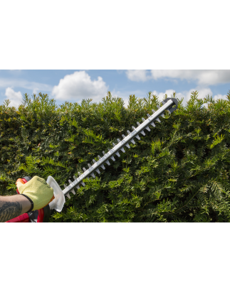 Hedge Trimmer Cordless 20V SV20 Series with 2Ah Battery & Charger