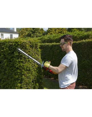 Hedge Trimmer Cordless 20V SV20 Series with 4Ah Battery & Charger