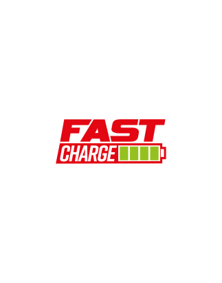 Fast Charge Battery Charger 4A for SV12 Series