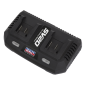 Dual Battery Charger 20V SV20 Series Lithium-ion