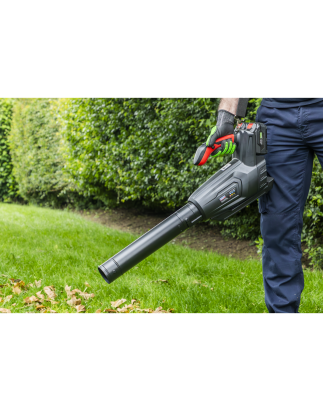 Cordless Blower 40V SV20 Series - Body Only