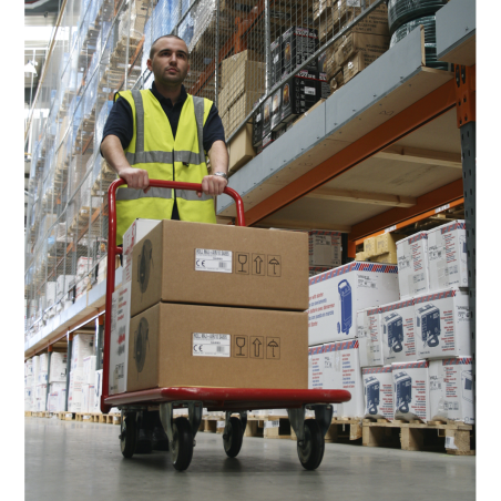 Camion à plate-forme robuste, capacité de 250 kg