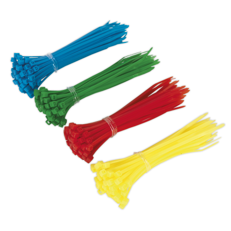 Cable Tie Assortment 100 x 2.5mm Pack of 200