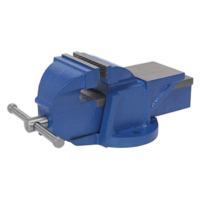 Professional Heavy-Duty Fixed Base Vice 100mm