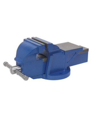 Professional Heavy-Duty Fixed Base Vice 125mm