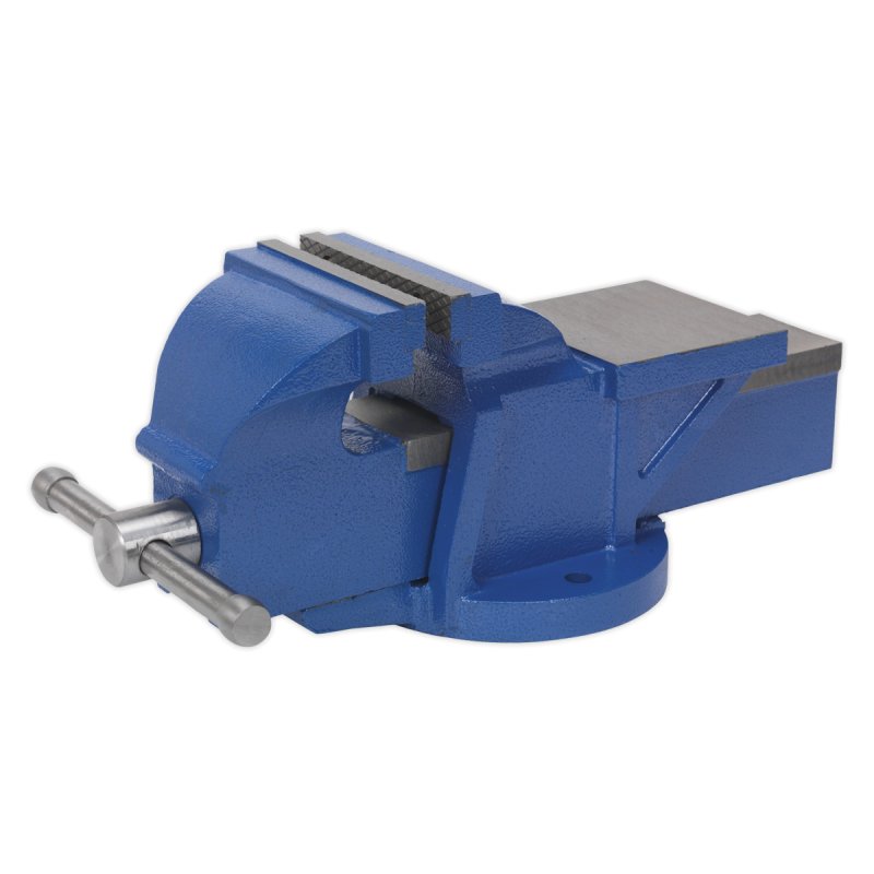 Professional Heavy-Duty Fixed Base Vice 125mm