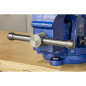 Heavy-Duty Professional Vice with Swivel Base 125mm