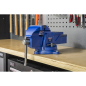 Heavy-Duty Professional Vice with Swivel Base 125mm