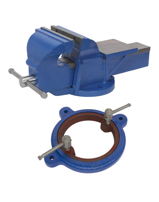 Heavy-Duty Professional Vice with Swivel Base 200mm