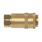 PCL Non-Corrodible Coupling Body Female 1/4"BSP