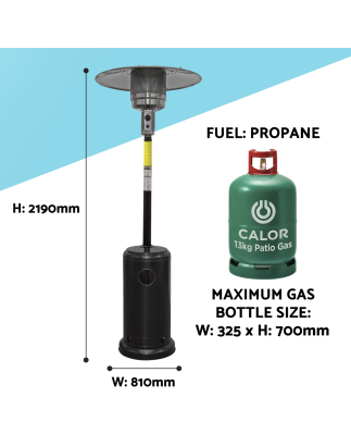 Dellonda Chauffage de terrasse à gaz pour jardin extérieur 13 kW Usage commercial et domestique Noir