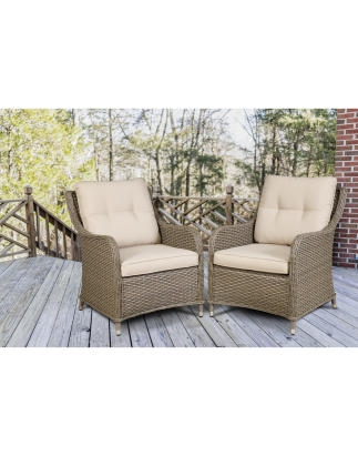 Dellonda Chester Rattan Wicker Outdoor Lounge Chairs with Cushion, Brown