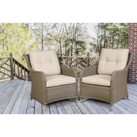 Dellonda Chester Rattan Wicker Outdoor Lounge Chairs with Cushion, Brown