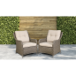 Dellonda Chester Rattan Wicker Outdoor Lounge Chairs with Cushion, Brown