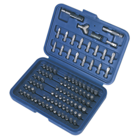 Power Tool/Security Bit Set 100pc