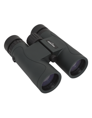 Dellonda 10x42mm Roof Prism BAK4 Binoculars, Waterproof & Fogproof with Case & Lens Caps