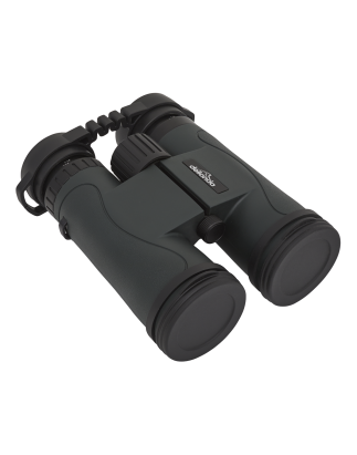 Dellonda 10x42mm Roof Prism BAK4 Binoculars, Waterproof & Fogproof with Case & Lens Caps