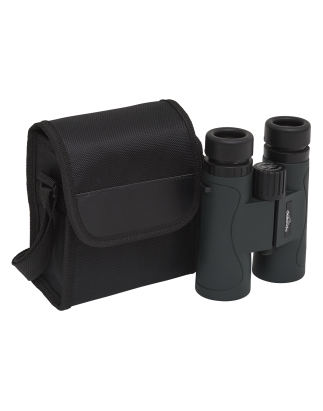 Dellonda 10x42mm Roof Prism BAK4 Binoculars, Waterproof & Fogproof with Case & Lens Caps