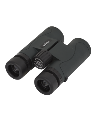 Dellonda 10x42mm Roof Prism BAK4 Binoculars, Waterproof & Fogproof with Case & Lens Caps