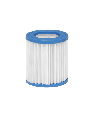 Dellonda Swimming Pool Filter Cartridge, Use For DL19 & DL20