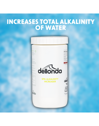 Dellonda Augmenteur d'alcalinité 1 kg pour spas, spas et piscines