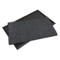 Rubber Disinfection Mat with Removable Polyester Carpet 450 x 750mm