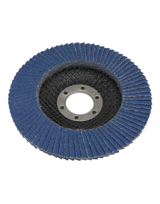 Flap Disc Zirconium Ø100mm Ø16mm Bore 120Grit