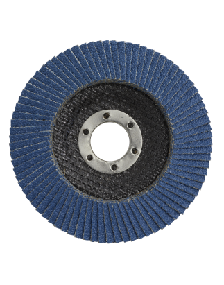 Flap Disc Zirconium Ø100mm Ø16mm Bore 120Grit