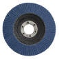 Flap Disc Zirconium Ø100mm Ø16mm Bore 120Grit