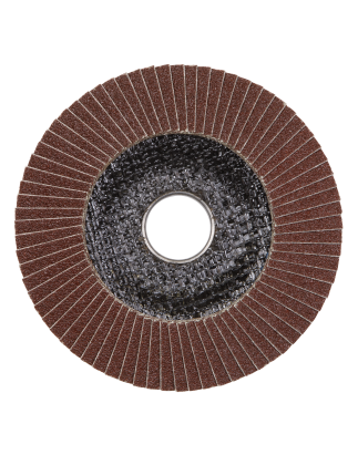 Flap Disc Aluminium Oxide Ø100mm Ø16mm Bore 120Grit