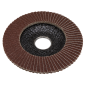 Flap Disc Aluminium Oxide Ø100mm Ø16mm Bore 120Grit