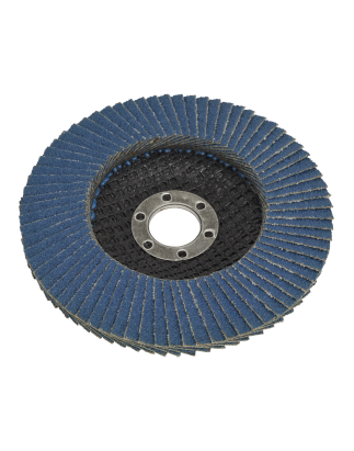 Flap Disc Zirconium Ø100mm Ø16mm Bore 40Grit