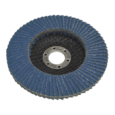 Flap Disc Zirconium Ø100mm Ø16mm Bore 40Grit