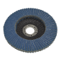 Flap Disc Zirconium Ø100mm Ø16mm Bore 40Grit